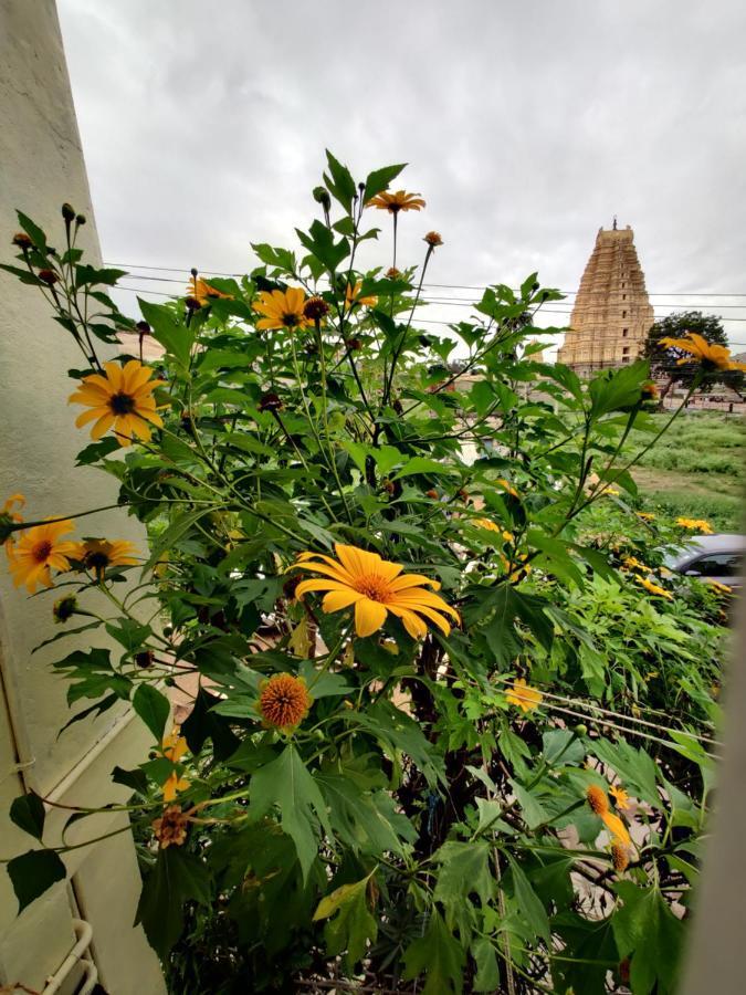 Ranjana Guesthouse 亨比 外观 照片